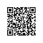 Y16254K65500T9R QRCode