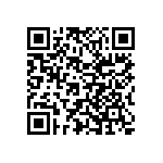 Y16295K60000T9R QRCode