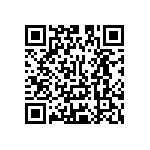 Y16306K20000F0R QRCode