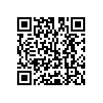 Y16331K10000T9W QRCode