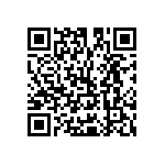 Y16333K90000T9R QRCode