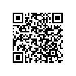 Y17252K80000F9L QRCode