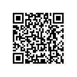 Y17451K10000B9L QRCode