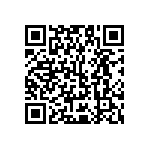 Y17451K12000Q2R QRCode