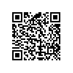 Y17451K87000Q2R QRCode