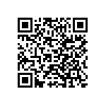 Y174611K3238B9R QRCode