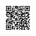 Y17461K33000A0R QRCode