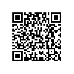 Y17464K80460B9R QRCode