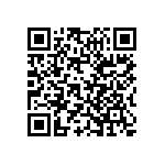 Y175025R0000B9L QRCode