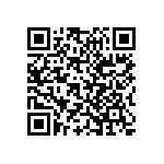 Y175080R0000B9L QRCode