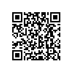 Y402795K3000T9W QRCode