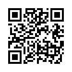 YK4131933000G QRCode