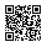 ZXT13N20DE6TA QRCode