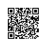 0201BW333K160NGT QRCode