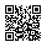 0203234 QRCode