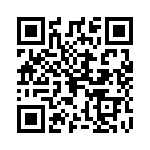 0295060-H QRCode