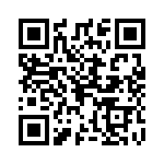 0295100-T QRCode