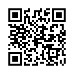 02981001Z QRCode