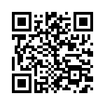 0310211300 QRCode