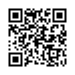 0387290541 QRCode