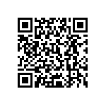 0505Y0506P80DQT QRCode