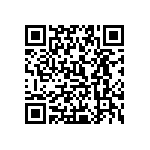 0505Y250P500DQT QRCode