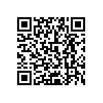 0505Y3006P80DQT QRCode