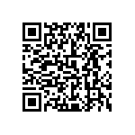 0505Y300P300CQT QRCode