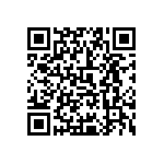 0505Y300P600DQT QRCode