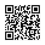 06031A390FAT4A QRCode