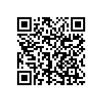 0603Y2009P10DQT QRCode