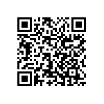 0603Y3006P20CQT QRCode