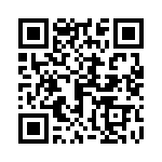 0702871038 QRCode