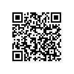 0805J2502P10BQT QRCode