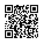 09110006256 QRCode