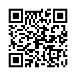 09110006265 QRCode