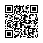 09150006290 QRCode