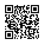 09153000304 QRCode