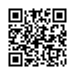 09185065911001 QRCode