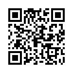 09195106322 QRCode