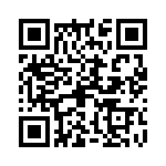 09300061541 QRCode