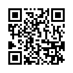 09691009085 QRCode