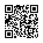 1-1761183-2 QRCode