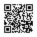 10-9513-10T QRCode