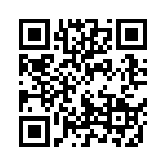 1004P2T1B1M1RE QRCode