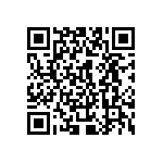 10055295-10300T QRCode