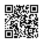 10060913-201 QRCode