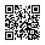 101-0999 QRCode