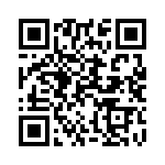 101243U040BF2B QRCode