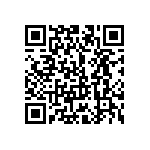 101C153U100EE2B QRCode